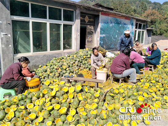 已过审【区县联动】【黔江】黔江区金洞乡：留守村民成“产业蓝领”【区县联动 列表】黔江金洞乡：留守村民成“产业蓝领”