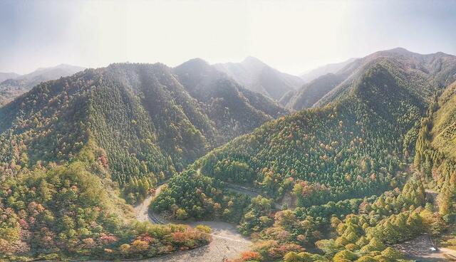 保护好山好水 厚植生态优势