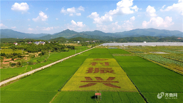 【地评线】“乡村治”方能“天下安”，共筑新时代美丽新家园