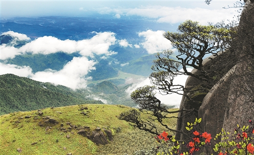 绿水青山如何喜变金山银山——从五个观察点看广西生态旅游发展