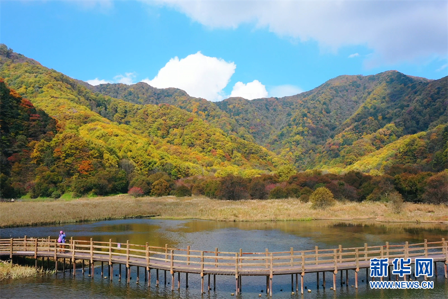 湖光秋色两相和 在大九湖遇见“天空之境”