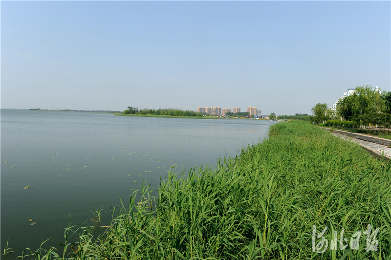 河北衡水：多姿多彩衡水湖