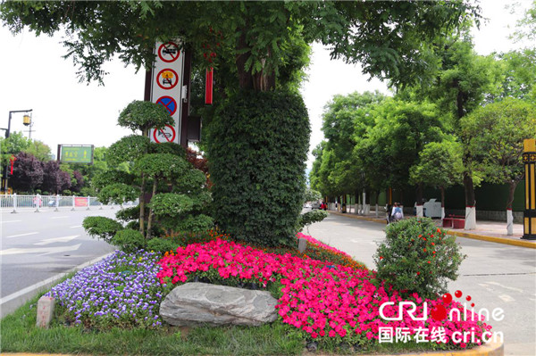 下足“绣花功夫”   西安市临潼区“绣”出宜居美景