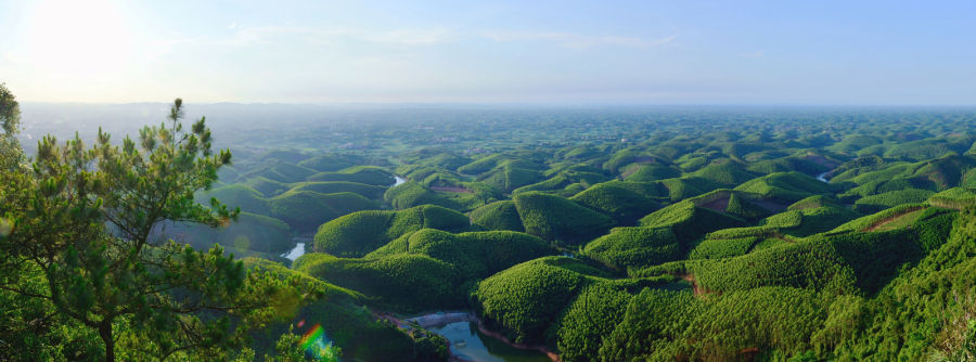 广西南宁市良庆区：山清水秀生态美