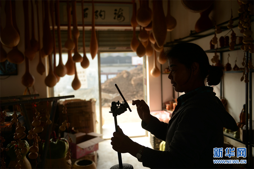 山东聊城：小葫芦催生特色产业亿元村共同富裕路