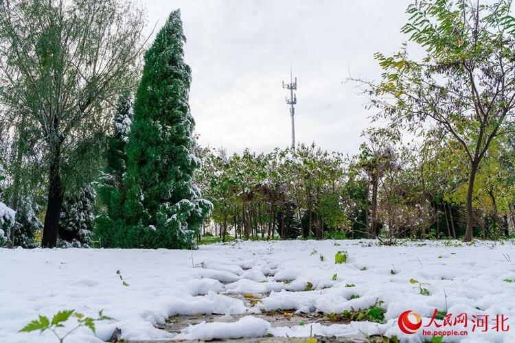 白雪皑皑银装素裹 河北各地迎来今冬“初雪”