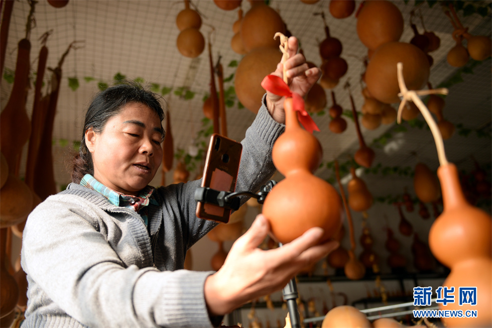 山东聊城：小葫芦催生特色产业亿元村共同富裕路