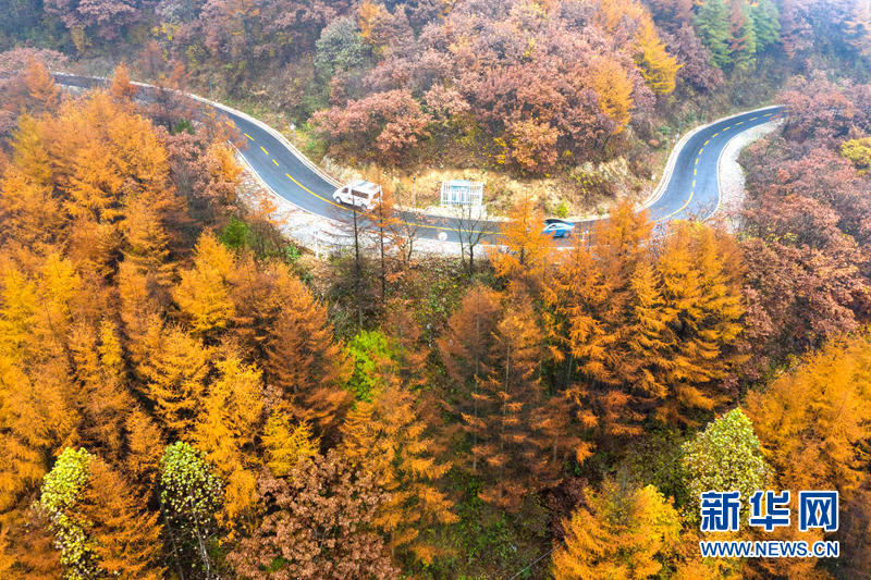 湖北保康：未品浓秋已立冬 五彩山景更醉人