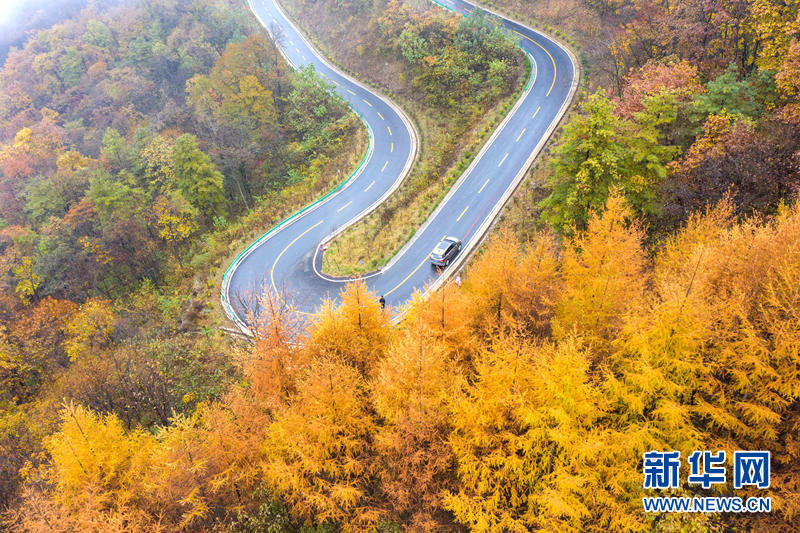 湖北保康：未品浓秋已立冬 五彩山景更醉人