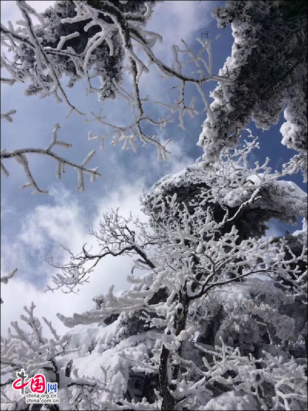 雾凇下的黄山 再现电影《冰雪奇缘》场景