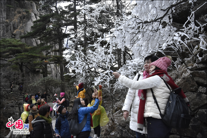 雾凇下的黄山 再现电影《冰雪奇缘》场景