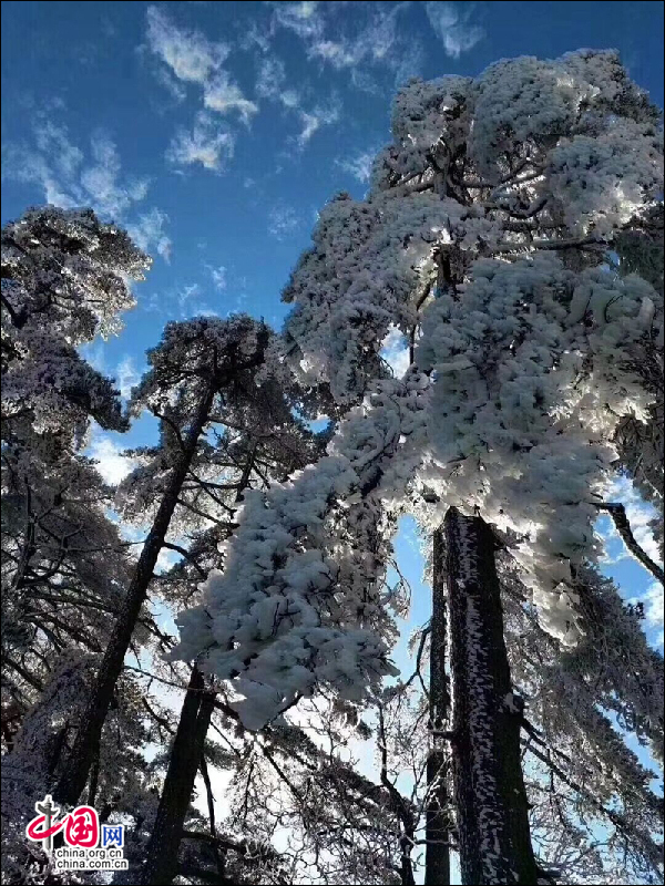 雾凇下的黄山 再现电影《冰雪奇缘》场景