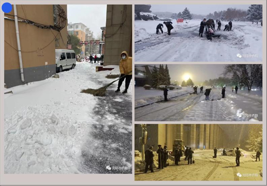 沈阳市侨联在行动：发动沈城侨界 聚力除雪破冰_fororder_侨联除雪3