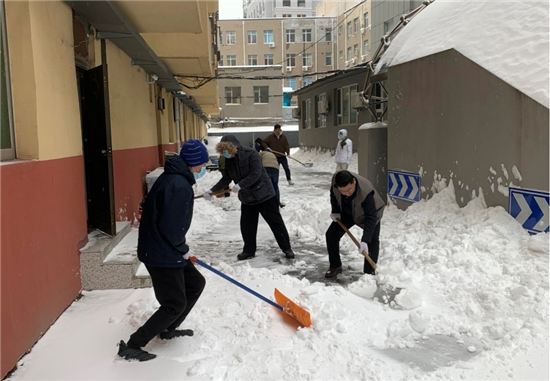 沈阳市侨联在行动：发动沈城侨界 聚力除雪破冰_fororder_侨联除雪1