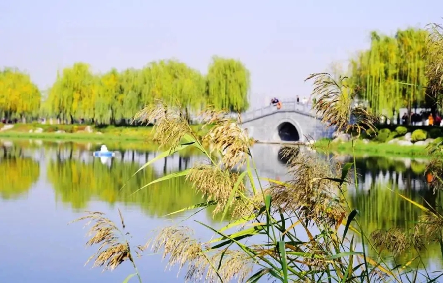 Découvrez les plus beaux paysages d'automne du Shaanxi_fororder_3_副本