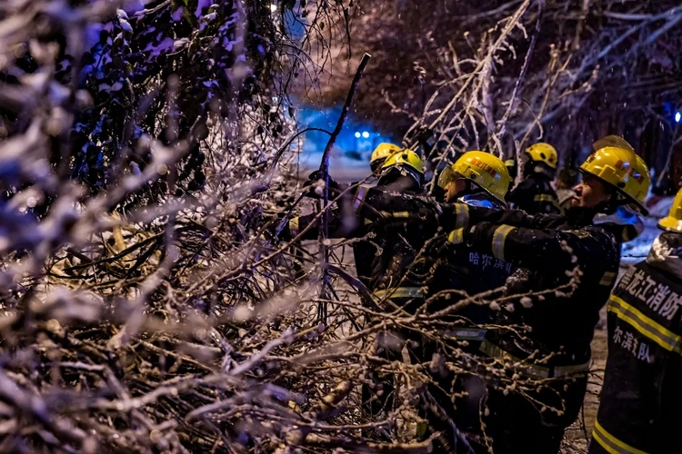 迎战大风雪！黑龙江省消防救援总队以实际行动“奋战”在第三十个消防日_fororder_5.webp