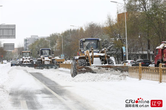 沈阳市于洪区：抗击暴风雪 彰显于洪温度_fororder_图片1