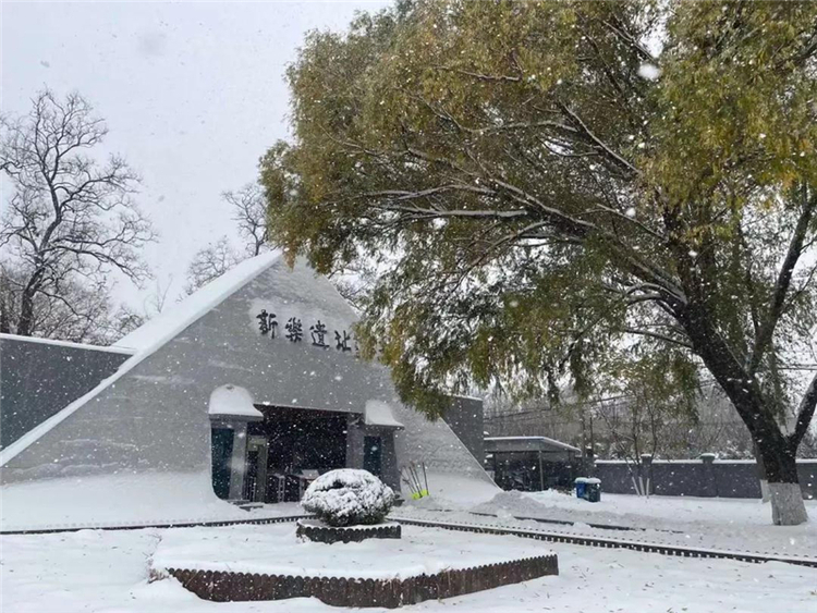 盛京初雪美如画 来沈阳看雪景吧！_fororder_微信图片_20211110152311