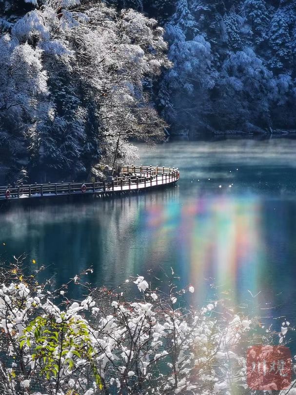 （中首）左手雪景，右手彩林，与初冬的九寨沟开启时空浪漫之旅！