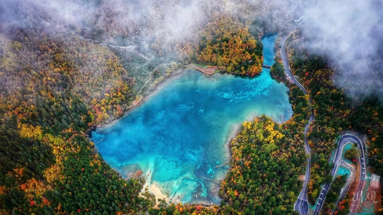 （中首）左手雪景，右手彩林，与初冬的九寨沟开启时空浪漫之旅！