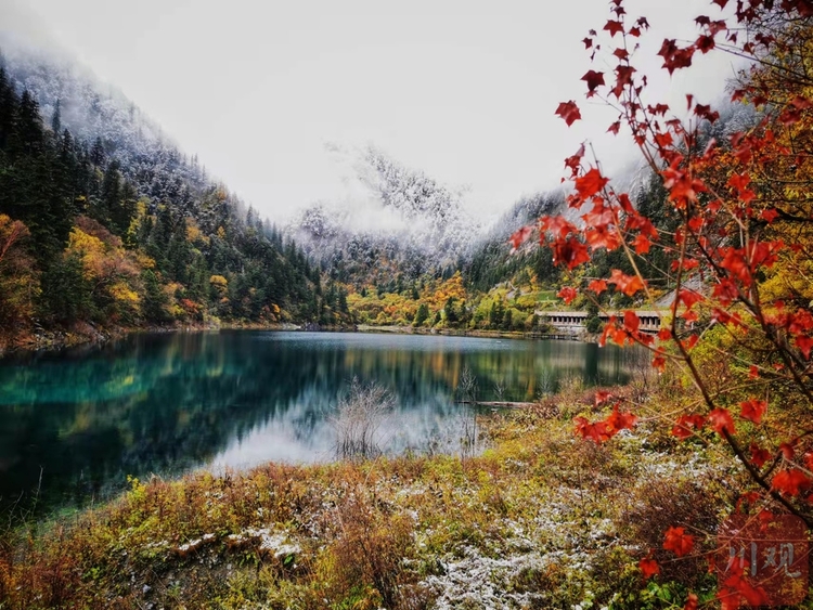 （中首）左手雪景，右手彩林，与初冬的九寨沟开启时空浪漫之旅！