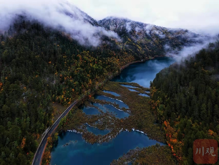 （中首）左手雪景，右手彩林，与初冬的九寨沟开启时空浪漫之旅！