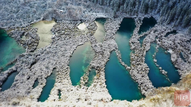 （中首）左手雪景，右手彩林，与初冬的九寨沟开启时空浪漫之旅！