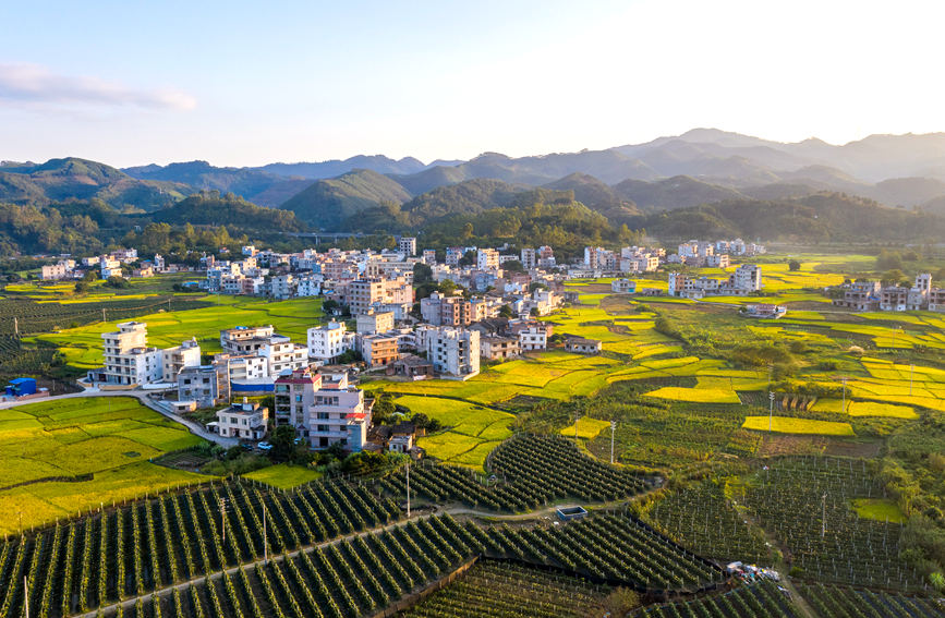 广西岑溪：青山环抱乡村如画