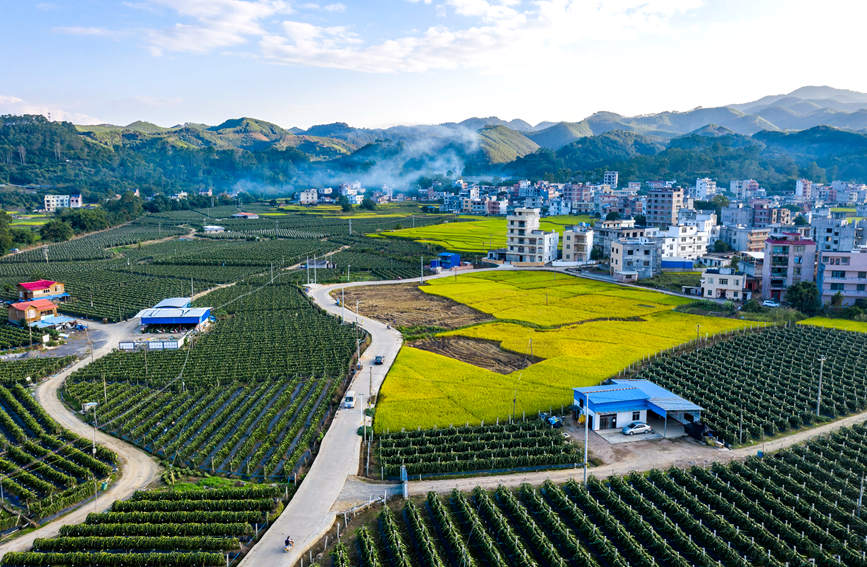 广西岑溪：青山环抱乡村如画