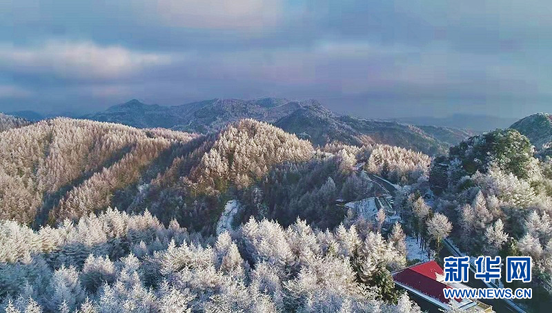 立冬初雪扮靓鄂西万亩林海