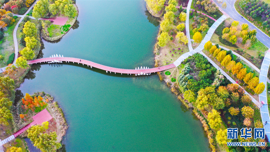 河南许昌：初冬芙蓉湖畔景色美