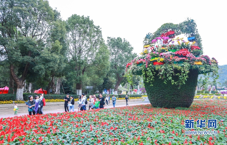 “农博会·花博会”上的“花样漳州”