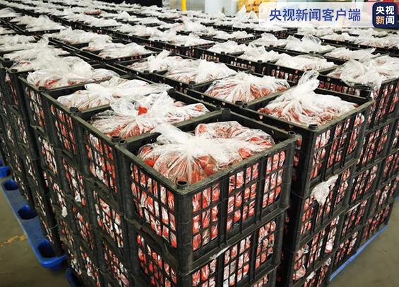 沈阳支援大连重要生活必需品首批车辆已发车