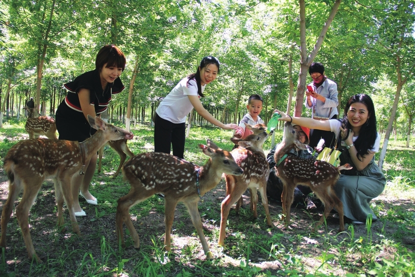 吉林辽源：夏日风景这边独好