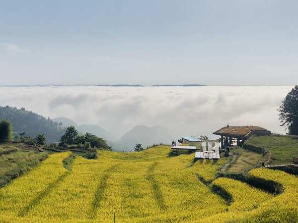 【城市远洋带图】垫江“飞茑集”入选全国首批甲级旅游民宿名录