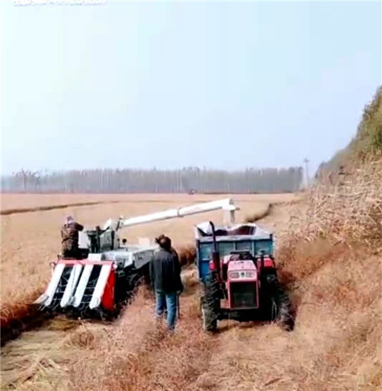 （待核实）解密沈阳市辽中区大兰窝棚村的致富密码_fororder_辽中5