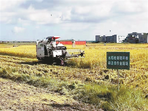 实现生态环保与乡村振兴共赢——南宁市大力推广秸秆综合利用技术成效突出