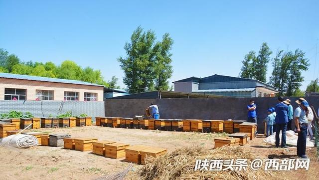 神木贫困户用勤劳双手“酿造”甜蜜生活 成当地脱贫样本