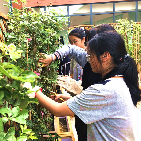 西安市航天城第一中学：缤纷社团活动助力“双减”落地_fororder_图片56