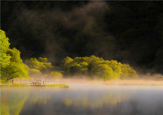 【急稿】【湖北】【供稿】湖北神农架景区2019旅游推介会在宁夏银川举行