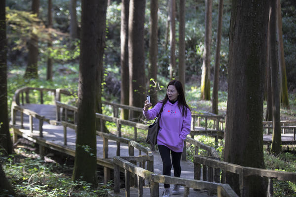 信阳鸡公山脚下 初冬的这个公园五彩斑斓