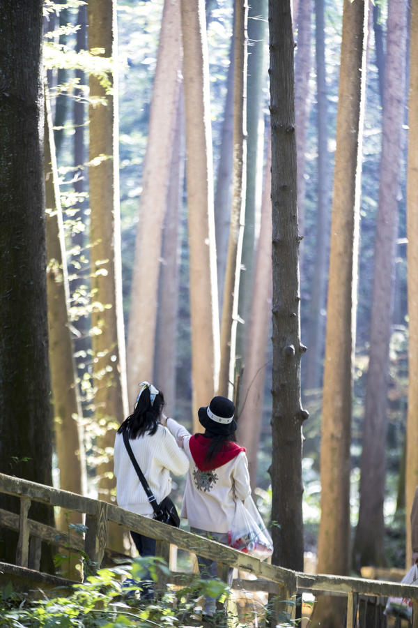 信阳鸡公山脚下 初冬的这个公园五彩斑斓