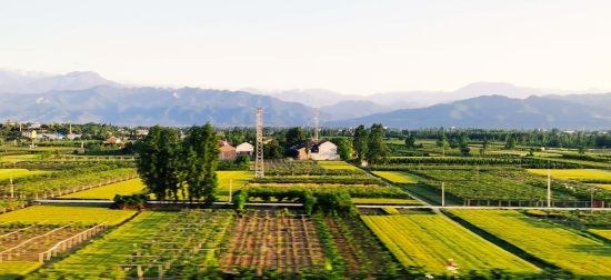 （转载）宝鸡破解农村生活垃圾"围村" 助力乡村生态振兴