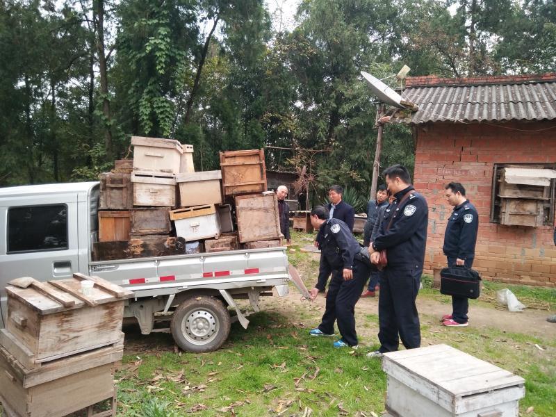 【三秦大地 汉中】汉中洋县公安局刑警大队发还50箱被盗蜜蜂