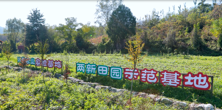 西安市长安区太乙宫街道入选陕西省乡村振兴示范镇_fororder_图片3