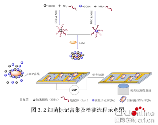 已过审【CRI专稿 列表】重庆大学生团队研发便携仪器 40分钟完成细菌检测