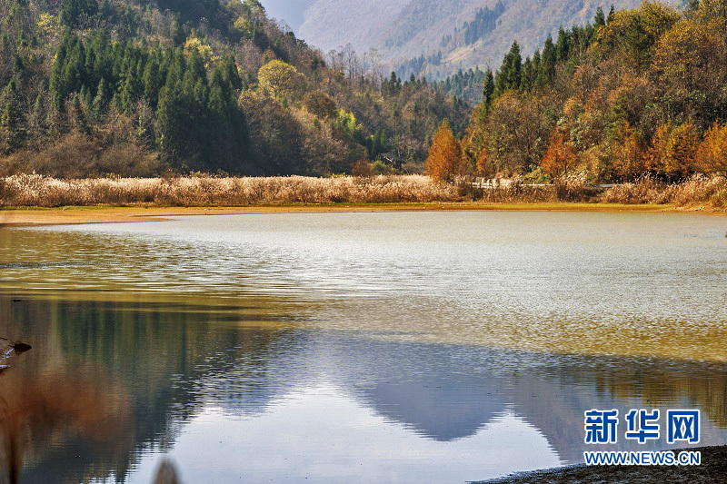 湖北恩施：初冬湿地美景醉人