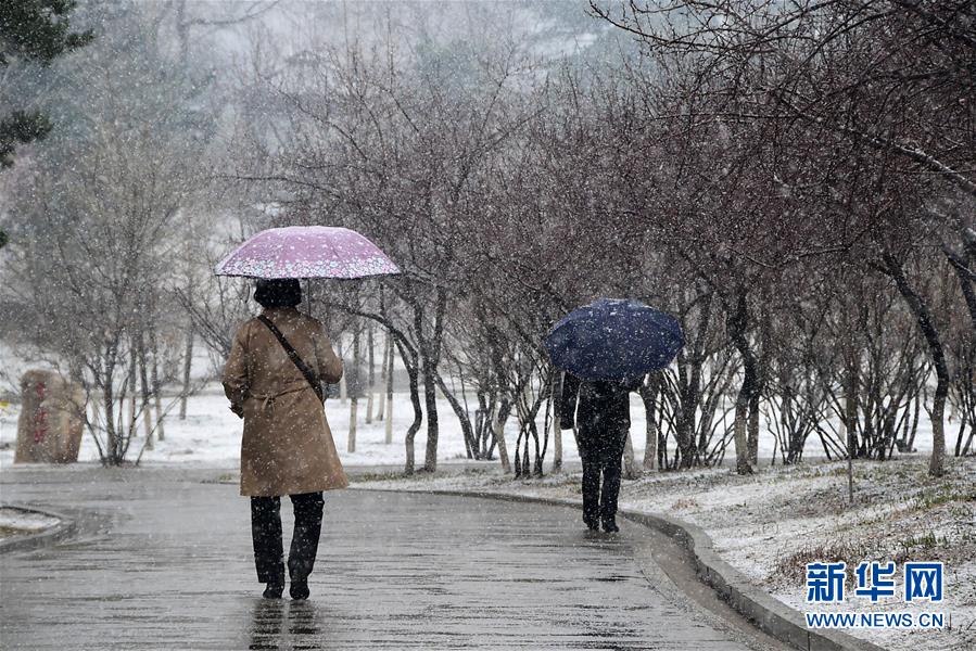 吉林长春四月飘雪