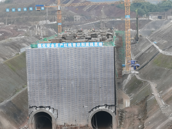 【原创】重庆轨道交通5号线北延伸段悦港北路站主体结构顺利封顶_fororder_11