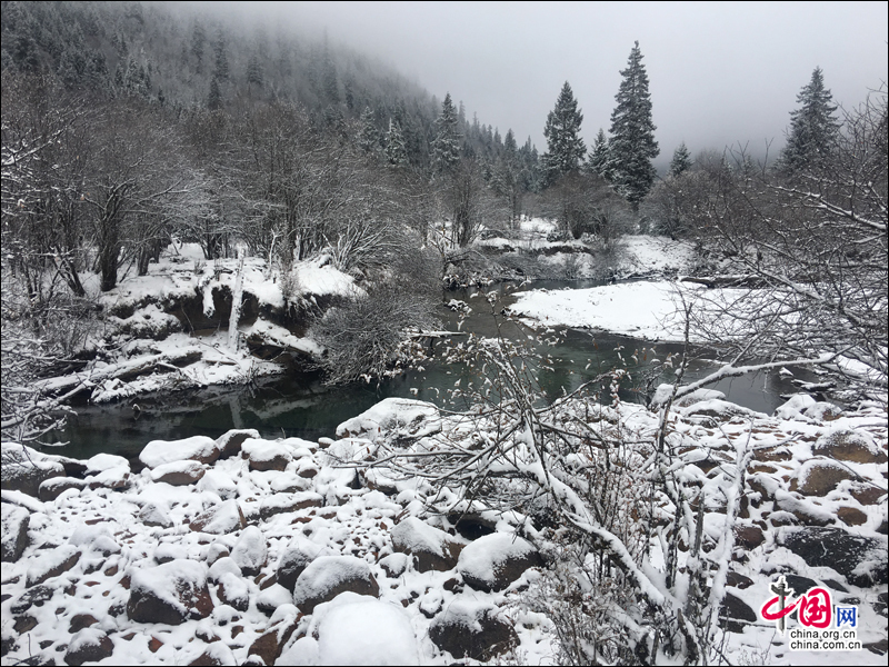 大雪装扮的初冬 达古冰山开启冰雪童话世界